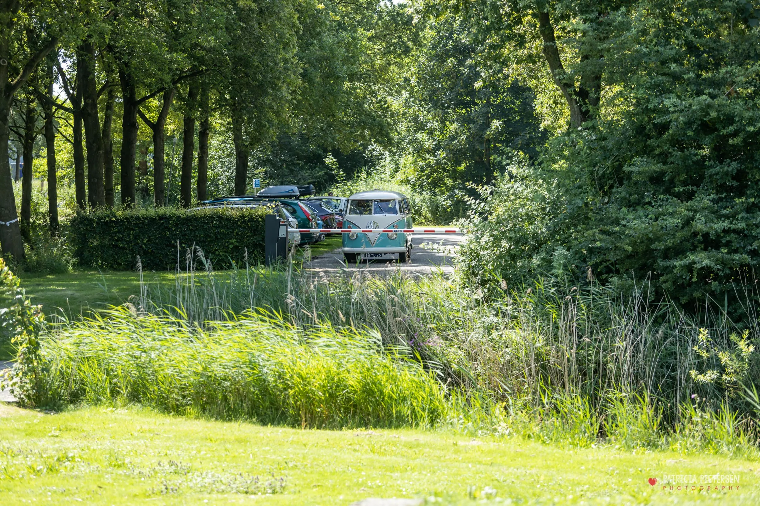 5 Stappen Naar De Perfecte Trouwfotografie In Haarlem