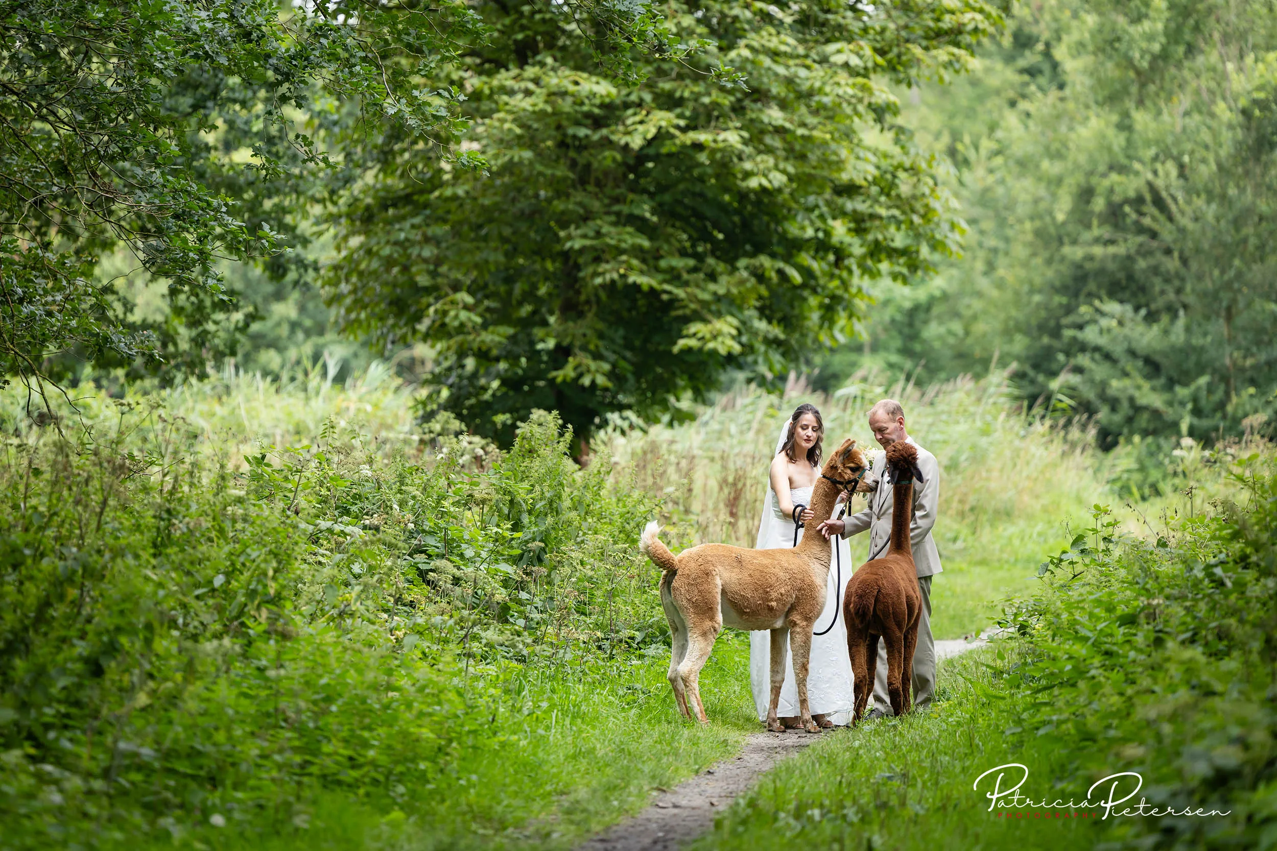 trouwreportage_theater_posa_kevin_rosa_alpaca_manege_lelysta (16)