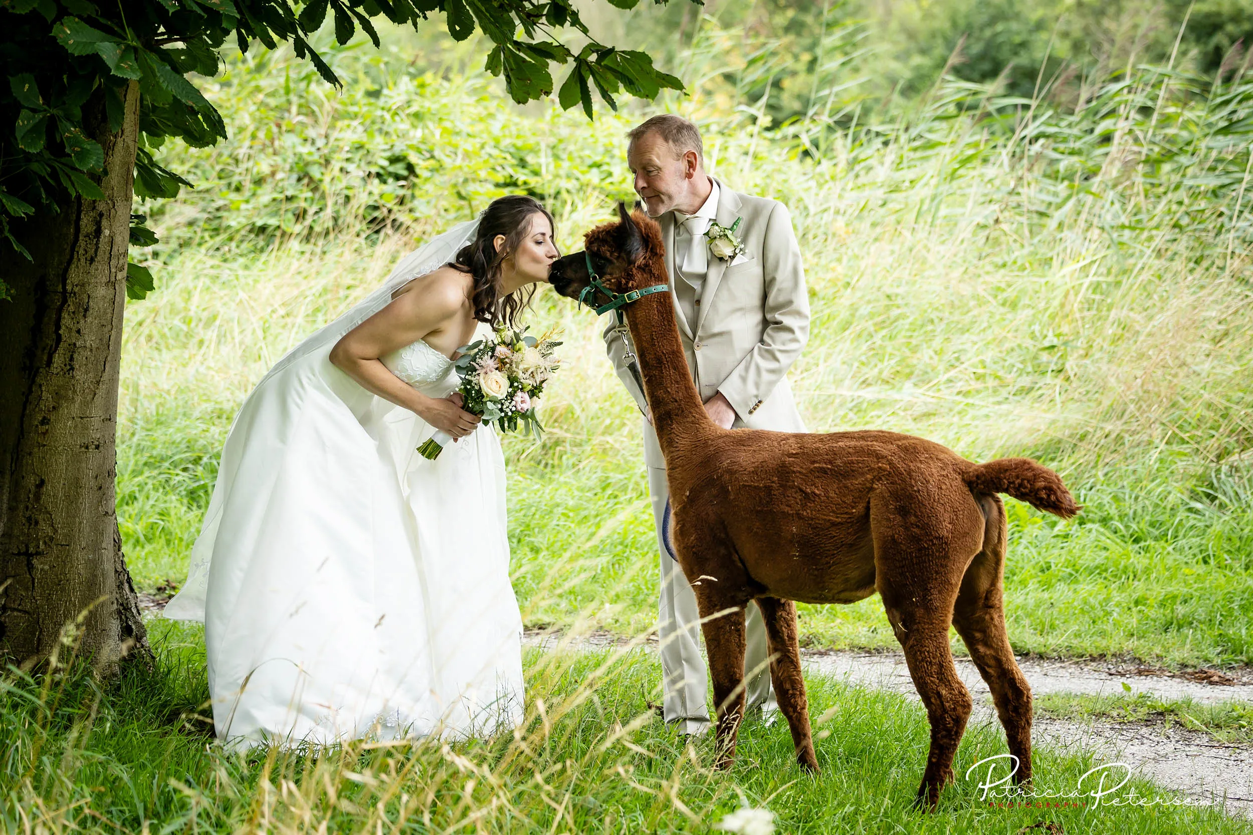 trouwreportage_theater_posa_kevin_rosa_alpaca_manege_lelysta (17)