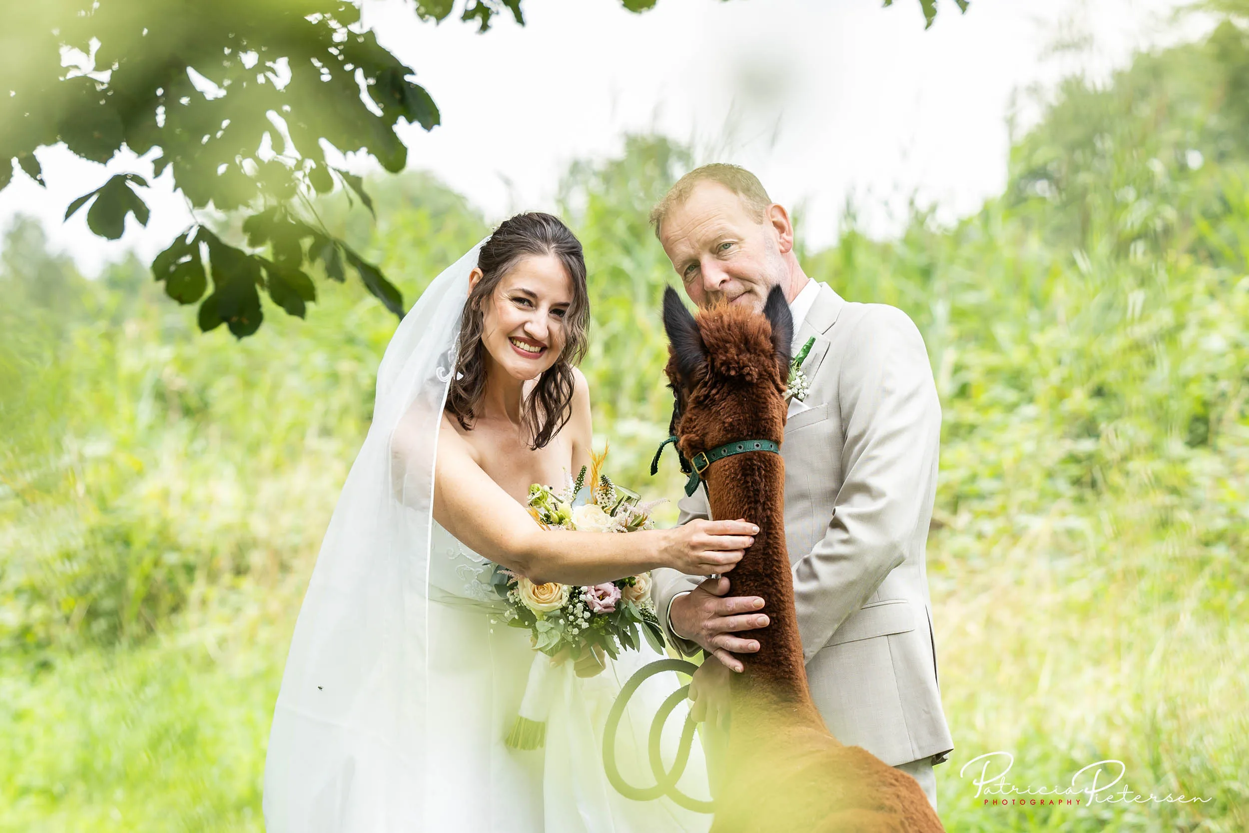 trouwreportage_theater_posa_kevin_rosa_alpaca_manege_lelysta (18)