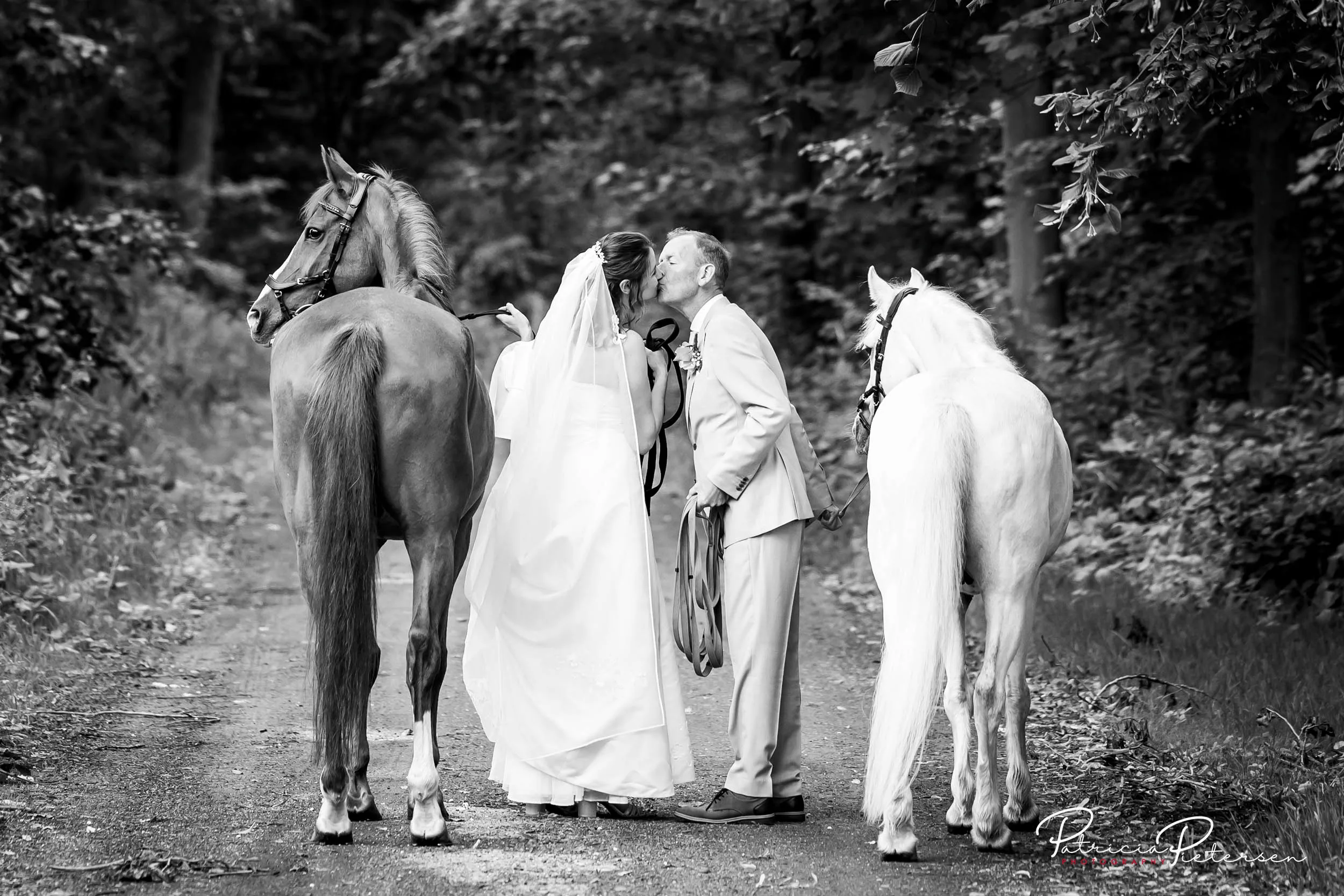 trouwreportage_theater_posa_kevin_rosa_alpaca_manege_lelysta (26)