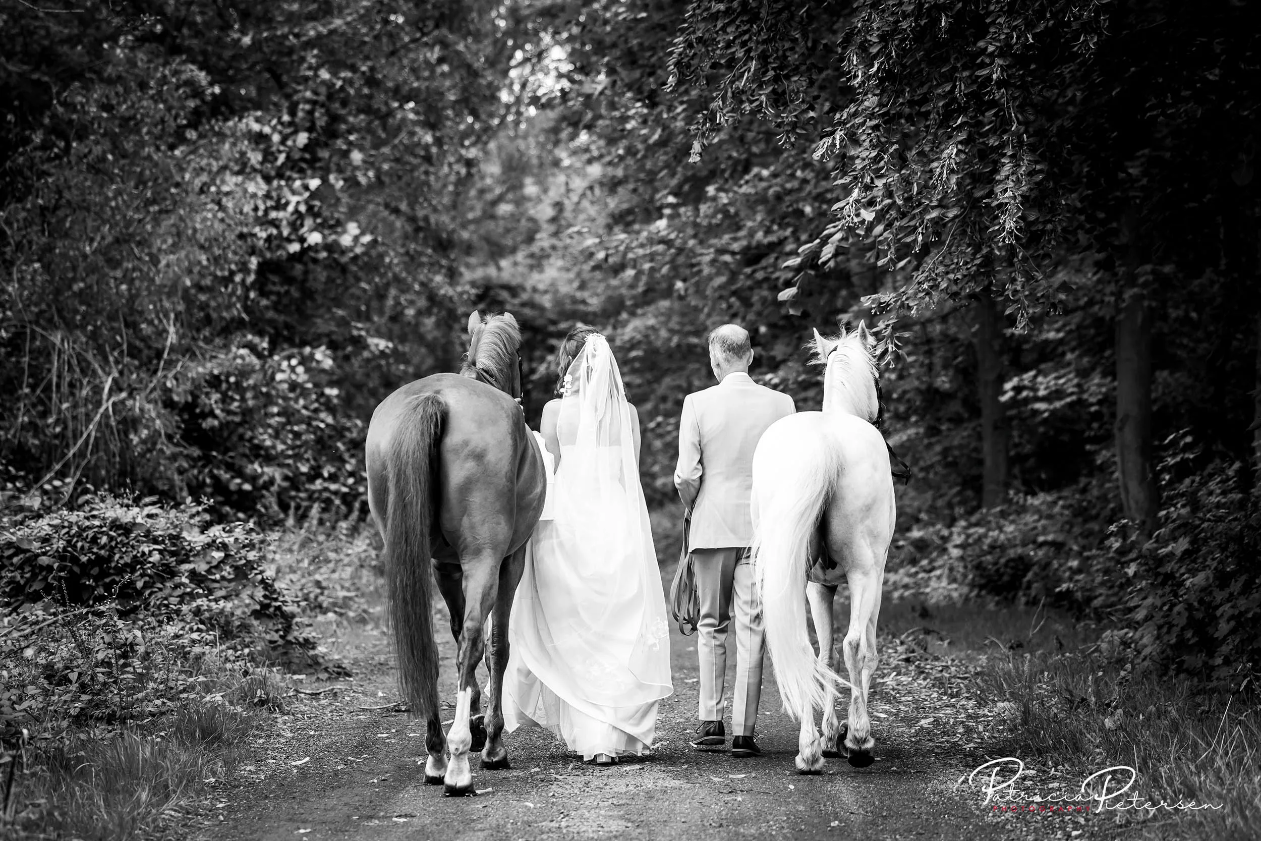 trouwreportage_theater_posa_kevin_rosa_alpaca_manege_lelysta (28)